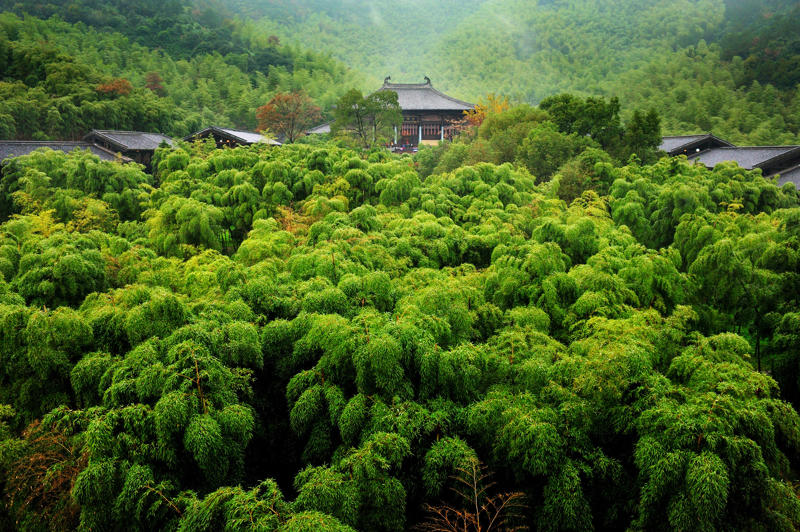 Bamboo Forest, China Basilica Cistern, อิสตันบูล, ตุรกี, บิกเบน, ลอนดอน, อังกฤษ, ชลาคาร Adalaj, อินเดีย, ปอร์โตเวเนเร, อิตาลี, อุทยาน Rodrigues Alves, บราซิล, Rani ki Vav, อินเดีย, วัดอรุณ, ไทย, ประตูชัยถนนออกัสตา, โปรตุเกส, ทัชมาฮาล, อินเดีย, ป้อมแดง, อินเดีย, น้ำพุเทรวี, อิตาลี, ติวานากู, โบลิเวีย, สเบตลา, ตูนิเซีย, ป้อมจิตตอร์, อินเดีย, สวนจีน สิงคโปร์, เปตรา จอร์แดน, ซุ้มประตูคอนสแตนติน, อิตาลี, Yaxchilán, เม็กซิโก, โรงอาบน้ำคาราคัลลา, อิตาลี, San Miguel de Allende, เม็กซิโก, วิหารโอลิมเปียนซูส กรุงเอเธนส์ ประเทศกรีซ, ถ้ำฟราซาสซี ประเทศอิตาลี, สุสานซิลลูสตานี ประเทศเปรู, สำนักแห่งเอเธนส์ ประเทศกรีซ, ลาซซาเรตโตแห่งอันโคนา ประเทศอิตาลี, วิหารเอเรคธีออน กรีซ, อนุสรณ์สถานแห่งชาติเดวิลโพสต์ไพล์ แคลิฟอร์เนีย, สุสานหลวง เปตรา จอร์แดน, ตูลุม, เม็กซิโก, แบมบะระ, อังกฤษ, บูดาเปสต์, ฮังการี, ป้อมอาเมร์, อินเดีย, มาชูปิกชู, เปรู, ตอสสาเดอมาร์, สเปน, สวน Gonaitei, ญี่ปุ่น, วิคโลว์, ไอร์แลนด์, ปาเลงเก, เม็กซิโก, Bethesda Terrace, นิวยอร์ก, สหรัฐฯ, โบสถ์ซานปิเอโตร, อิตาลี, สวนชา, มณฑลฉางซิง, จีน, มัสยิด Tin Mal, โมร็อกโก, ป่าสงวนแห่งชาติ Uinta-Wasatch-Cache, ยูทาห์, สหรัฐอเมริกา, ไดโกจิ, เกียวโต, ญี่ปุ่น, แอริโซนา, สหรัฐอเมริกา, อุทยานประวัติศาสตร์แห่งรัฐ Ward Charcoal Ovens ใกล้อีลี, เนวาดา, Vallone dei Mulini, อิตาลี, อุทยานแห่งรัฐสมิธ ร็อค, ออริกอน, สหรัฐอเมริกา, San Juan de Gaztelugatxe, สเปน, ป้อมรายครห์, อินเดีย, หอสังเกตการณ์ทะเลทรายแกรนด์แคนยอน, แอริโซนา, สหรัฐฯ, พระราชวังอิมพีเรียล, ญี่ปุ่น, ซากปราสาทเพนนาร์ด, สหราชอาณาจักร, ปราสาทอิวะคุนิ, ญี่ปุ่น, จังหวัดนางาโนะ, ญี่ปุ่น, วิหารพาร์เธนอน, กรีซ, ปราสาท Classiebawn, ไอร์แลนด์, เชฟชาอูน, โมร็อกโก, สวนชินจูกุ เกียวเอ็น, ญี่ปุ่น, ลักซอร์, อียิปต์, สะพานโบราณจั่วอิง, จีน, ปราสาท Torrechiara, อิตาลี, สวนราชพฤกษ์, ไทย, กำแพงเมืองจีน, ซากปรักหักพังจัตุรัสโรมัน, อิตาลี, ป้อม Lovrijenac, โครเอเชีย, กังหันลมพิทสโตน, บักกิงแฮมเชอร์, คาซามิลา, สเปน, ซากปรักหักพังของชาวมายันในซูนานตูนิช, เบลีซ, กัสเตลโนด์ ลา ชาแปล, ฝรั่งเศส, ปราสาทเบร์ลังกา เด ดูเอโร, สเปน, วิหารลักซอร์, อียิปต์, ประตูราชสีห์, ตุรกี, Trethevy Quoit, คอร์นวอลล์, Tinghir, โมร็อกโก, ปราสาทวอลซิน, เบลเยียม, ปาลาซโซ เวคคิโอ, อิตาลี, วิหารแห่งโพไซดอน, กรีซ, ไรน์แลนด์-พาลาทิเนต, เยอรมนี, แคนยอนเดอเชลลี, แอริโซนา, สหรัฐอเมริกา, นิวยอร์ก ซิตี้, จังหวัดคาโย, เบลีซ, ทิกัล, เอลเปเตง, กัวเตมาลา