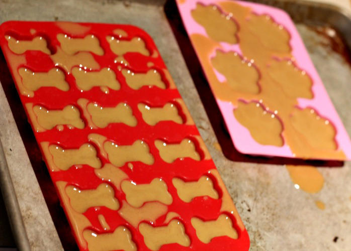 HEALTHY HOMEMADE COCONUT OIL PEANUT BUTTER DOG TREATS RECIPE INGREDIENTS:, HOW TO MAKE FROZEN COCONUT OIL DOG TREATS:, HOW TO STORE 3 INGREDIENT DOG TREATS, OUR OTHER HOMEMADE DOG TREAT RECIPES: 