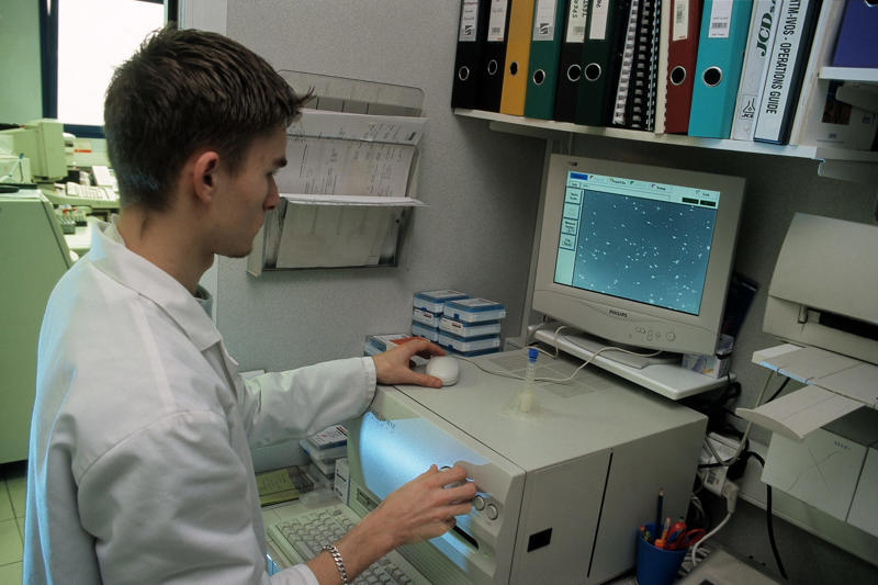 A significant decline in sperm counts between 2014 and 2020 Bigger isn't better, A 24% size increase, Data from 55,761 men, A substantial increase in size, From 4.8 inches to 6 inches, "Any overall change in development is concerning", A fast change is concerning, Surprising results, Chemicals are to blame, Endocrine-disrupting chemicals in our environment and food, The hormonal milieu is affected, Chemical exposure affects puberty, Sperm counts affected, A significant decline in sperm counts between 2014 and 2020, Average sperm count fell by 52%, An acceleration in sperm count decline, Some think the male member is shrinking, Is pollution causing shrinkage?, Hopefully more studies will clarify things