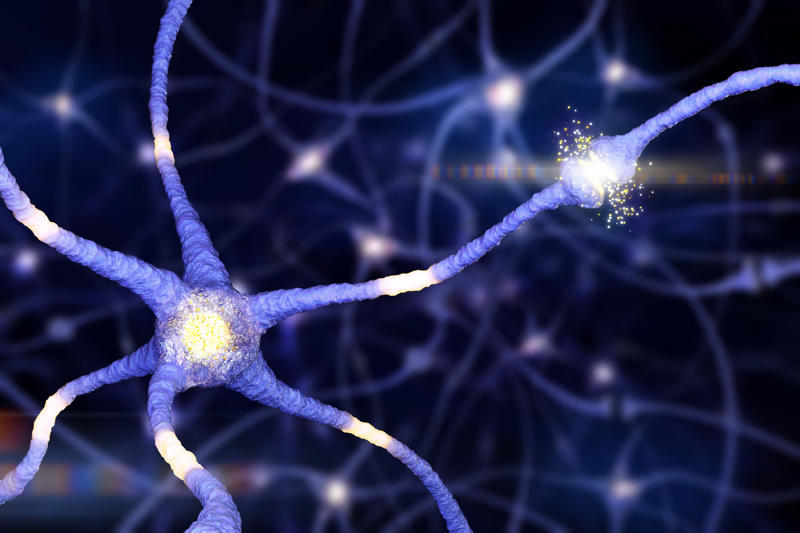 Consciousness arises within the nerons What happens to our soul after we die?, A question many have tried to answer, What is a soul, Our essence, The soul or consciousness, A new theory about the soul, The 'Orch-OR' theory, Consciousness arises within the nerons, Roger Penrose, Nobel Prize in Physics in 2020, Friend of Stephen Hawking, Stuart Hameroff, A theory that needs to be tested, Which supports the 'Orch-OR' theory, Do the principles of Quantum mechanics affect our brain?, A biological approach, A Quantum approach, Consciousness is a vibrating wave, The brain as a quantum computer, Superposition of states as a measurement of consciousness, Everett's Many-Worlds Interpretation, The choice not made, We are the reality, A new way to understand the brain, What happens inside the neuron?, So is the soul immortal?, Information is saved, An intriguing but unproven theory