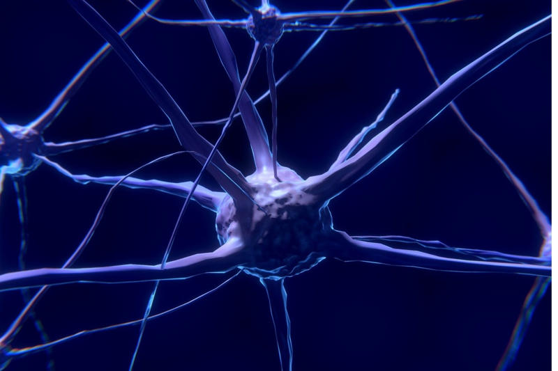 What happens inside the neuron? What happens to our soul after we die?, A question many have tried to answer, What is a soul, Our essence, The soul or consciousness, A new theory about the soul, The 'Orch-OR' theory, Consciousness arises within the nerons, Roger Penrose, Nobel Prize in Physics in 2020, Friend of Stephen Hawking, Stuart Hameroff, A theory that needs to be tested, Which supports the 'Orch-OR' theory, Do the principles of Quantum mechanics affect our brain?, A biological approach, A Quantum approach, Consciousness is a vibrating wave, The brain as a quantum computer, Superposition of states as a measurement of consciousness, Everett's Many-Worlds Interpretation, The choice not made, We are the reality, A new way to understand the brain, What happens inside the neuron?, So is the soul immortal?, Information is saved, An intriguing but unproven theory