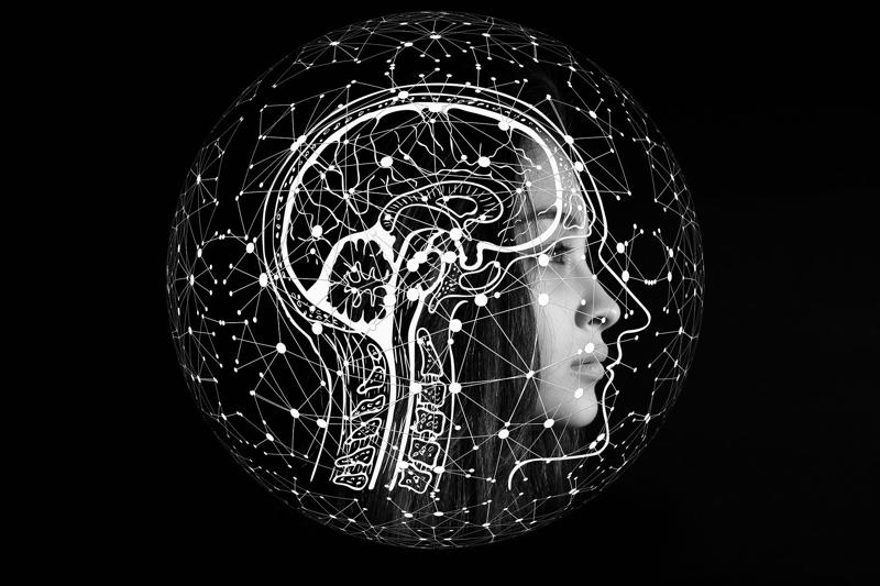 The brain as a quantum computer What happens to our soul after we die?, A question many have tried to answer, What is a soul, Our essence, The soul or consciousness, A new theory about the soul, The 'Orch-OR' theory, Consciousness arises within the nerons, Roger Penrose, Nobel Prize in Physics in 2020, Friend of Stephen Hawking, Stuart Hameroff, A theory that needs to be tested, Which supports the 'Orch-OR' theory, Do the principles of Quantum mechanics affect our brain?, A biological approach, A Quantum approach, Consciousness is a vibrating wave, The brain as a quantum computer, Superposition of states as a measurement of consciousness, Everett's Many-Worlds Interpretation, The choice not made, We are the reality, A new way to understand the brain, What happens inside the neuron?, So is the soul immortal?, Information is saved, An intriguing but unproven theory