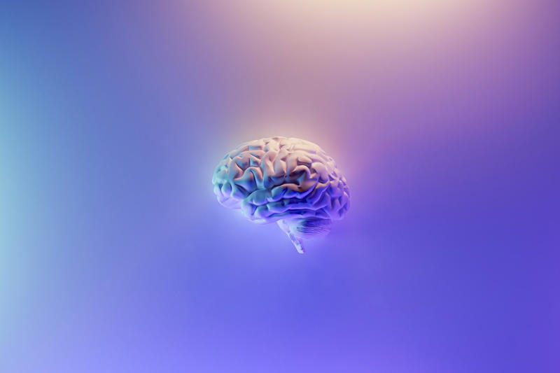 A biological approach What happens to our soul after we die?, A question many have tried to answer, What is a soul, Our essence, The soul or consciousness, A new theory about the soul, The 'Orch-OR' theory, Consciousness arises within the nerons, Roger Penrose, Nobel Prize in Physics in 2020, Friend of Stephen Hawking, Stuart Hameroff, A theory that needs to be tested, Which supports the 'Orch-OR' theory, Do the principles of Quantum mechanics affect our brain?, A biological approach, A Quantum approach, Consciousness is a vibrating wave, The brain as a quantum computer, Superposition of states as a measurement of consciousness, Everett's Many-Worlds Interpretation, The choice not made, We are the reality, A new way to understand the brain, What happens inside the neuron?, So is the soul immortal?, Information is saved, An intriguing but unproven theory