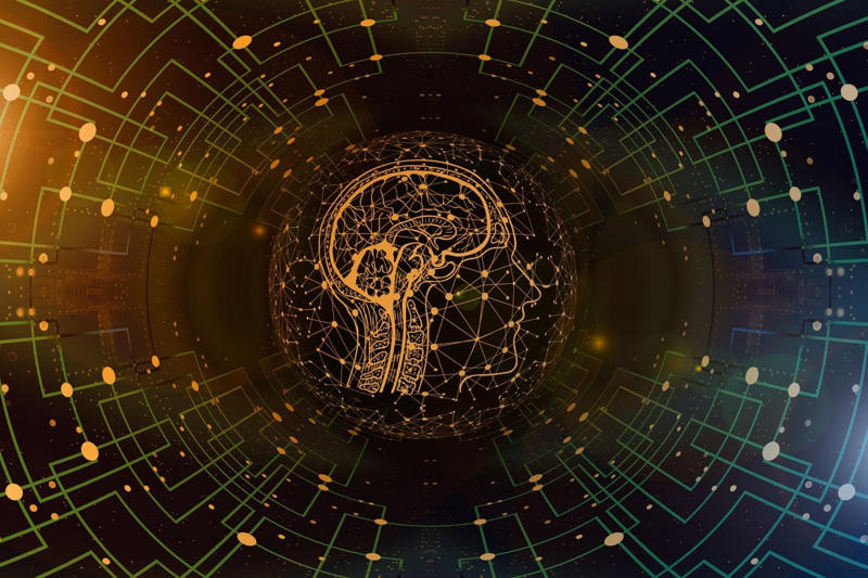 Information is saved What happens to our soul after we die?, A question many have tried to answer, What is a soul, Our essence, The soul or consciousness, A new theory about the soul, The 'Orch-OR' theory, Consciousness arises within the nerons, Roger Penrose, Nobel Prize in Physics in 2020, Friend of Stephen Hawking, Stuart Hameroff, A theory that needs to be tested, Which supports the 'Orch-OR' theory, Do the principles of Quantum mechanics affect our brain?, A biological approach, A Quantum approach, Consciousness is a vibrating wave, The brain as a quantum computer, Superposition of states as a measurement of consciousness, Everett's Many-Worlds Interpretation, The choice not made, We are the reality, A new way to understand the brain, What happens inside the neuron?, So is the soul immortal?, Information is saved, An intriguing but unproven theory