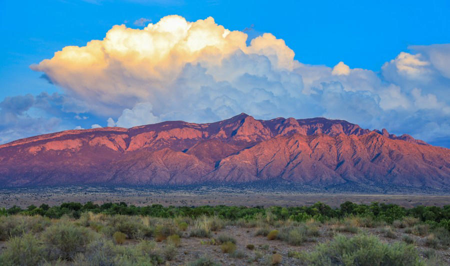 Visit the Petroglyph National Monument, Take a stroll through Old Town, Ride the tram, Grab lunch and go shopping in Nob Hill, Browse through a museum or two, Check out some local art, Hike the Sandias, Stop by the BioPark, Stroll through the Bosque
