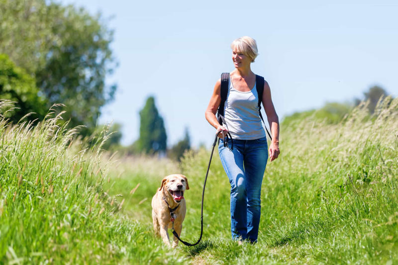 4. You’re prepared to get up early Before you get a dog, Walk around, Exercise, Education, Not human!, Consistency, Stimulator, Keep on going, The leash