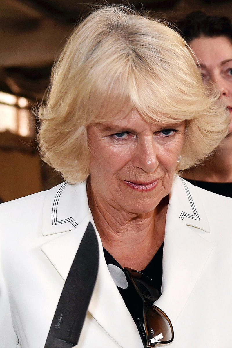 Here's Camilla! A regrettable angle for Catherine, Royal Nazi, Prince Andrew brought shame, Cheeky prince, Conjoined Christmas, Pretzelgate, Princess Diana in St Tropez, THAT photo, The interview that must not be named, Charles and Diana - a photo that speaks a thousand words, Beatrice's fashion faux pas, Prince Louis at the jubilee, The flyby, Not great press, Not a good look, Racism allegations, Prince Philip's comments, You're a wizard, Kate, Caught in the moment, Here's Camilla!, Prince Harry goofing around, Cute or embarrassing?, Silence of the Prince, One must look Her best, There's something about Camilla, Kate Middleton got stuck, Slippery fingers!, A gust of wind took Camilla by surprise, Camilla's argument with a brolly