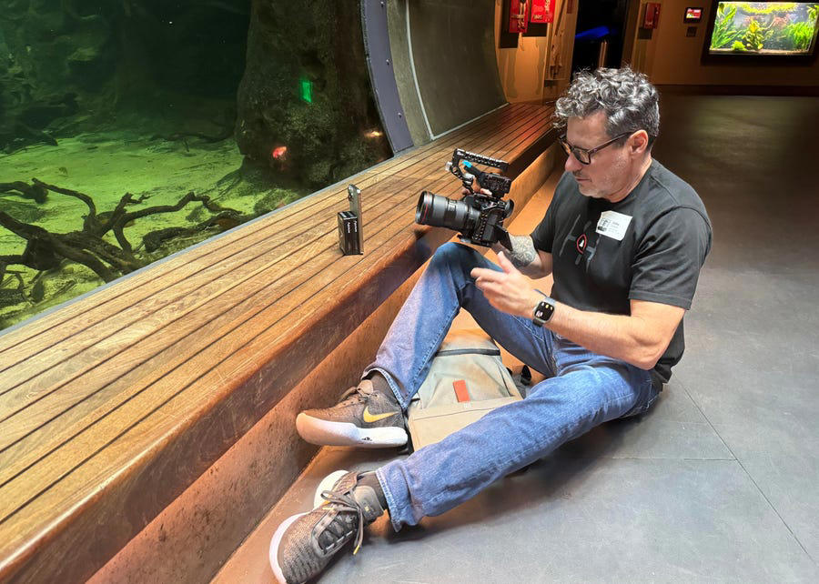 Know what makes a good long-exposure shot, Turn on Live Photos, Keep steady, Create the long exposure, Make long-exposure photos from existing Live images