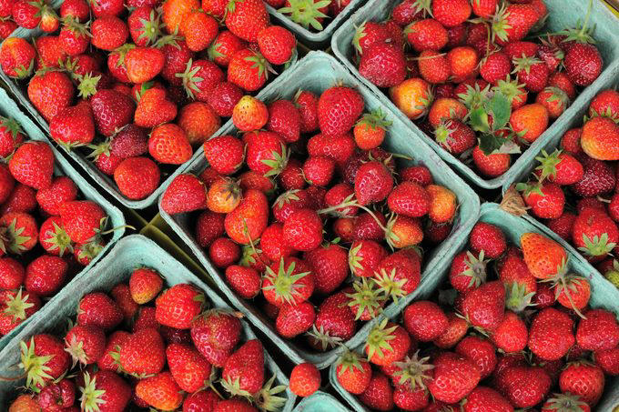The U.S. government has an official plan for a zombie apocalypse, A strawberry isn’t a berry—but a watermelon is, It’s totally legal to escape from prison in Mexico, Froot Loops are all the same flavor, Anne Frank and Martin Luther King Jr. were born the same year, Most Canadians live south of Seattle, There is a species of jellyfish that can live forever, There is a country with no capital, The “word of the year” in 2015 was a picture, King Charles had a car fueled by wine, Eventually, a day on Earth will be 25 hours long, The Earth isn’t round, The City of London has a population of only 8,600, There are more trees on Earth than stars in the galaxy, Polar Bears aren’t white—they’re just glowing, You can hear rhubarb growing, Yoda and Miss Piggy were voiced by the same person, The Las Vegas Strip isn’t in Las Vegas, Alaska is both the westernmost and easternmost state in the country, Shaking ketchup makes it 1,000 times thinner, There are no lakes in Maryland, A single tiger killed more than 400 people, The largest desert in the world is covered in ice, After a kidney transplant, you actually have three kidneys, A witness to Abraham Lincoln’s assassination was interviewed on TV, The fastest object ever just had a close encounter with the sun, There are three ways to talk about more than one octopus, There’s a number that can’t be written—literally, High-heeled shoes were originally designed for soldiers, A chicken survived for 18 months without a head, The FDA once banned sliced bread, The raptor sounds in Jurassic Park are actually mating tortoises, Saudi Arabia has had to buy sand and camels from Australia, Humans and giraffes have the same number of neck bones, The modern keyboard was designed with marketing in mind, Nearly half of all emails sent are spam, A war was started by a soccer game, It could rain diamonds on Jupiter, Hippos sweat “blood”, There are only two escalators in the state of Wyoming, People called 911 when they saw the Milky Way for the first time, The owner of Segway died while riding a Segway, You can taste garlic with your feet, A woman collected a Civil War survivor pension until 2020, The national animal of Scotland is a unicorn, Viagra can keep your plants erect, An Australian lake is naturally pink, The cat from Tom and Jerry was originally named Jasper, Why trust us