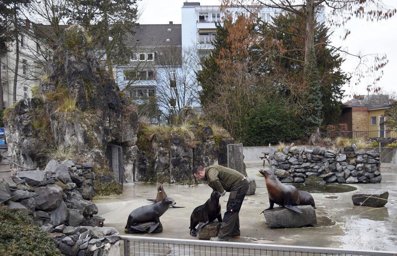 Neighbour filed noise complaint over rowdy sea lions Surprising real estate spats from around the globe, Homeowner built fence through neighbour's swimming pool, Woman gave house 'circus' makeover after planning complaints, Ruffled residents take action against rowdy roosters, Man builds three-foot-wide house to block neighbour’s outlook, Goalkeeper took chainsaw to neighbour’s garage over obstructed view, Neighbours' tree cut in half over bird mess, Neighbours' tree cut in half over bird poo squabble, Millionaire couple sued by neighbours over supercar headache, Airbnb host riled neighbours with pink emoji paint job, Civil War veteran built skinny house to spite his brother, Vegan sued neighbours over barbecue smells, Neighbour filed noise complaint over rowdy sea lions, Disgruntled man listed part of homeowner's wall for £37k