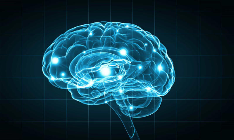 Mindset matters, Insomnia and the brain, Defining the term, Rigid beliefs, The role of the sleep industry, Changing beliefs, Nighttime anxiety, CBT techniques, Holding on tight, The next day, Fake data, Deeper understanding