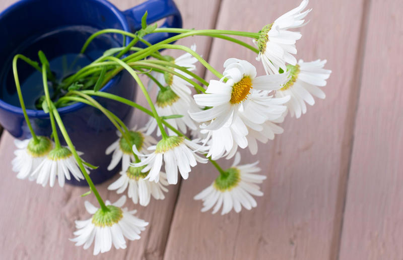 Housework hacks from gran that work, Keep moths at bay the natural way, Store bed linens in a pillowcase, Revive flowers in hot water, Pull out long nails with extra leverage, Clean bottles with sand and water, Separate glass tumblers with water, Clean with the seasons, Make your bed every day, Try rearranging the furniture, Use an old pillowcase to dust ceiling fans, Make brass shine with vinegar, Create streak-free windows with newspaper, Clean an iron with salt, Wash walls from the bottom up, Shine stainless steel with oil, Dust with socks, Revitalise carpet with bicarbonate of soda, Lift carpet fibres with ice, Use lemon on chopping boards, Remove baked-on grease with cola, Make a natural linen spray, Use sunshine as a natural bleach, Use pegs to change bed linen, Wash smalls in mesh bags, Clean the washing machine with bicarbonate of soda, Use apple cider vinegar as a pet-chewing deterrent, Crochet cute cleaning cloths, Use lavender to ward off insects, Cut sponges in half, Shorten the shower curtain, Water plants with yarn, Sharpen scissors with aluminium foil, Reflect heat with aluminium foil
