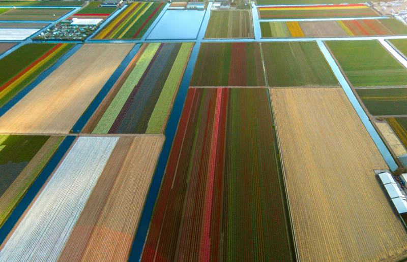 Tulip fields in the Netherlands High art, Mountain pass, Romania, Tulip fields, the Netherlands, Mine in Xinjiang, China, Ice sheet, Greenland, Lluta River, Chile, The Dead Sea, Israel and Jordan, Terraced rice fields, Vietnam, Bangkok interchange, Thailand, Pink Lake, Western Australia, Australia, The Great Barrier Reef, Queensland, Australia, Container port, California, USA, A solar farm, California, USA, Farmland, Kazakhstan, Staircase in the Vatican Museums, Italy, Hallstatt in winter, Austria, The Nile, Egypt, Ratchada Train Market, Thailand, Chalk Horse, England, UK, Jodhpur, India, Okavango Delta, Botswana, Tuscan countryside, Italy, John Deere tractor, Italy, The Nazca Lines, Peru, Yellowstone National Park, Wyoming, USA, Abandoned Housing Development, Arizona, USA, Holmes Beach on Anna Maria Island, Florida, USA, Orchard near Siem Reap, Cambodia, Sand dune in the Namib Desert, Namibia, Salt lakes in China's Shanxi Province, Combine harvester, England, UK, Laguna Rosa, Spain, Haida Gwaii, British Columbia, Canada