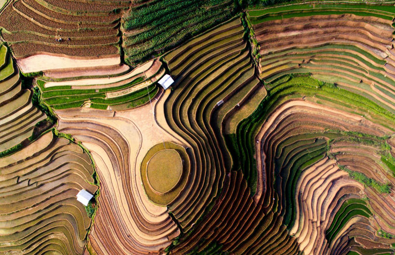 Terraced rice fields in Vietnam High art, Mine in Xinjiang, China, Mountain pass in Transylvania, Romania, Greenland ice sheet, Lluta River, Atacama Desert, Chile, The Dead Sea, Israel and Jordan, Terraced rice fields in Vietnam, Bangkok interchange, Thailand, Pink Lake in Western Australia, The Great Barrier Reef, Australia, Los Angeles container port, USA, A solar farm in California, USA, Kazakhstan farmland in the autumn, Phytoplankton bloom in the Barents Sea, Russia, Staircase in the Vatican Museums, Italy, Hallstatt in winter, Austria, The Nile in Egypt, Bangkok's Ratchada Train Market, Thailand, England's Chalk Horse, UK, Jodhpur, India, Okavango Delta, Botswana, The Italian countryside, Tuscany, The Italian countryside, Pavia, The Nazca Lines in Peru, Yellowstone National Park, Wyoming, USA, Abandoned Housing Development in Phoenix, Arizona, USA, Holmes Beach on Anna Maria Island in Florida, USA, Orchard near Siem Reap, Cambodia, Sand dune in the Namib Desert, Namibia