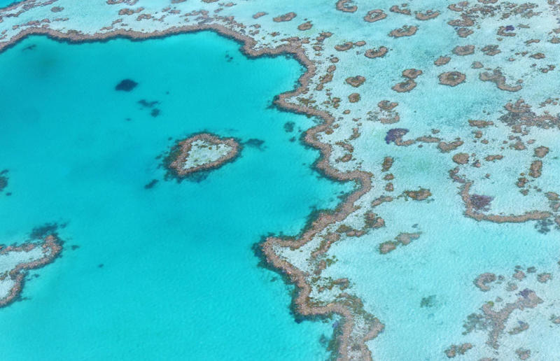 The Great Barrier Reef, Australia High art, Mine in Xinjiang, China, Mountain pass in Transylvania, Romania, Greenland ice sheet, Lluta River, Atacama Desert, Chile, The Dead Sea, Israel and Jordan, Terraced rice fields in Vietnam, Bangkok interchange, Thailand, Pink Lake in Western Australia, The Great Barrier Reef, Australia, Los Angeles container port, USA, A solar farm in California, USA, Kazakhstan farmland in the autumn, Phytoplankton bloom in the Barents Sea, Russia, Staircase in the Vatican Museums, Italy, Hallstatt in winter, Austria, The Nile in Egypt, Bangkok's Ratchada Train Market, Thailand, England's Chalk Horse, UK, Jodhpur, India, Okavango Delta, Botswana, The Italian countryside, Tuscany, The Italian countryside, Pavia, The Nazca Lines in Peru, Yellowstone National Park, Wyoming, USA, Abandoned Housing Development in Phoenix, Arizona, USA, Holmes Beach on Anna Maria Island in Florida, USA, Orchard near Siem Reap, Cambodia, Sand dune in the Namib Desert, Namibia