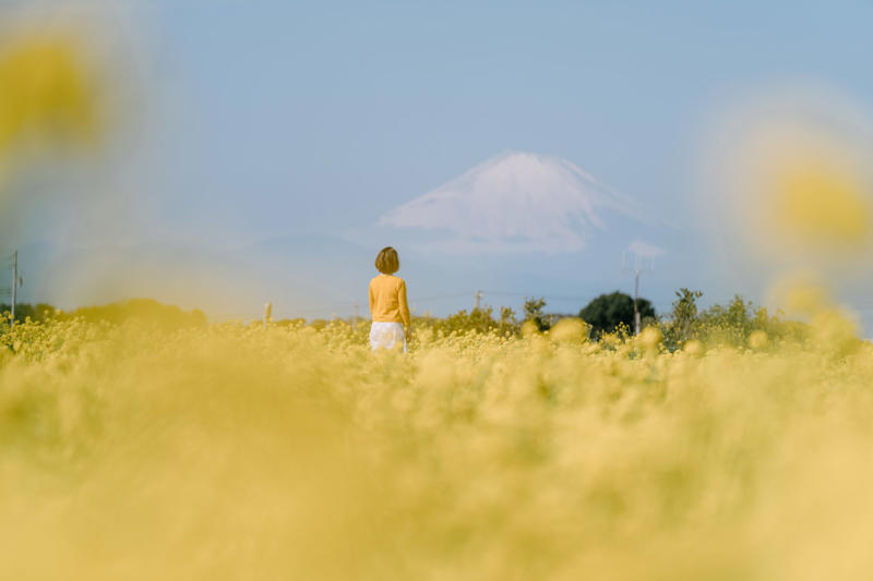 Kanagawa, Japan Must-see places in the world, Great Ocean Road, Australia, Colca Valley, Peru, Azores, Portugal, Cathedrals Beach, Spain, Bromo, Indonesia, Halong Bay, Vietnam, Atacama Desert, Chile, Wadi Rum, Jordan, Kanagawa, Japan, Fuji Motosuko, Japan, Ya Nui Bay, Island of Ko Phi Phi Don, Thailand, Zhangjiajie, China, Agadir, Morocco, Las Medulas, Spain, Tanah Lot, Bali, Indonesia, Primoten, Croatia, Dune du Pilat, France, Triglav, Slovenia, San Gimignano, Tuscany, Italy