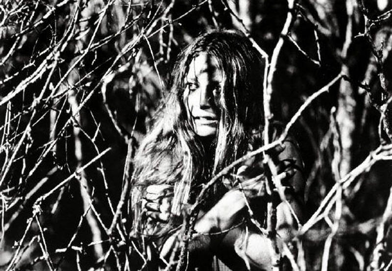 'The Possession' (2012), 'The Amityville Horror' (2005), 'Zodiac' (2007), 'The Silence of the Lambs' (1991), 'The Texas Chainsaw Massacre' (2003), 'The Exorcism of Emily Rose' (2005), 'The Strangers' (2008), 'The Exorcist' (1973), 'The Haunting in Connecticut' (2009), 'The Conjuring' (2013), 'Annabelle' (2014), 'Wrong Turn' (2003)