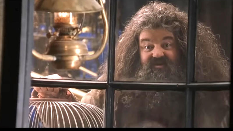 A 'Harry Potter' legend A 'Harry Potter' legend, "I will not be here, sadly, but Hagrid will.", Hagrid will live forever, Appearances can be deceptive, Every creature deserves compassion and kindness, There’s power in being yourself, There's no shame in where you come from, There's no use in worrying, Family doesn't have to be blood-related, Your elders hold wisdom, Loyalty can get you far in life, Good people get into trouble too, Teaching goes beyond qualifications, Everyone can teach you something, Friendship means being there in the most difficult times, It's important to take care of the people you love