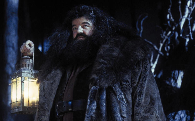 A 'Harry Potter' legend, "I will not be here, sadly, but Hagrid will.", Hagrid will live forever, Appearances can be deceptive, Every creature deserves compassion and kindness, There’s power in being yourself, There's no shame in where you come from, There's no use in worrying, Family doesn't have to be blood-related, Your elders hold wisdom, Loyalty can get you far in life, Good people get into trouble too, Teaching goes beyond qualifications, Everyone can teach you something, Friendship means being there in the most difficult times, It's important to take care of the people you love