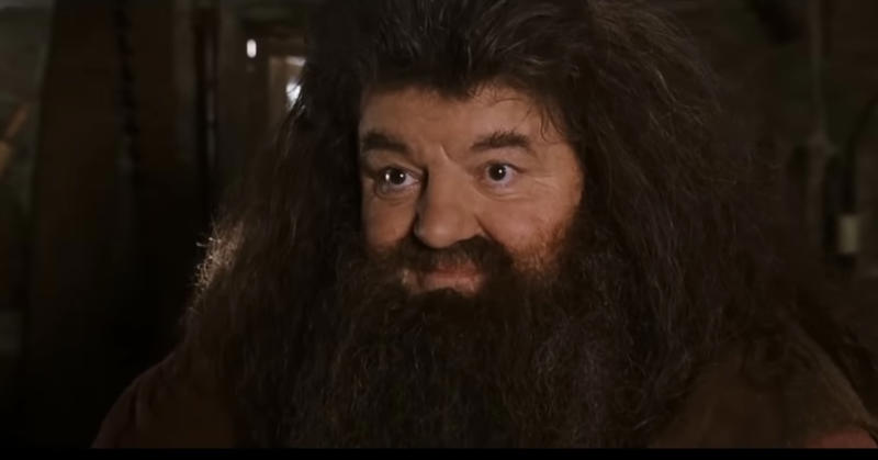 There’s power in being yourself A 'Harry Potter' legend, "I will not be here, sadly, but Hagrid will.", Hagrid will live forever, Appearances can be deceptive, Every creature deserves compassion and kindness, There’s power in being yourself, There's no shame in where you come from, There's no use in worrying, Family doesn't have to be blood-related, Your elders hold wisdom, Loyalty can get you far in life, Good people get into trouble too, Teaching goes beyond qualifications, Everyone can teach you something, Friendship means being there in the most difficult times, It's important to take care of the people you love