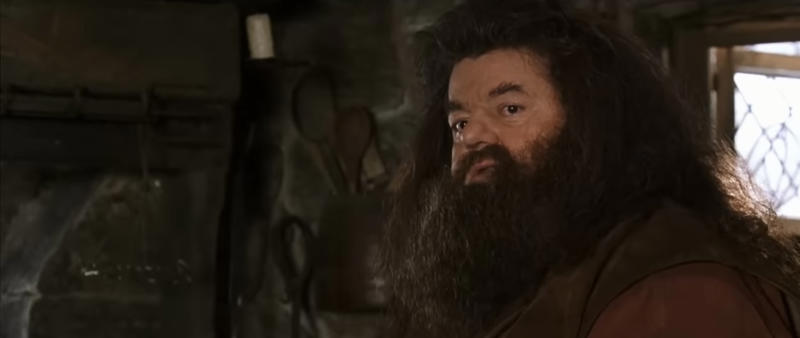 There's no shame in where you come from A 'Harry Potter' legend, "I will not be here, sadly, but Hagrid will.", Hagrid will live forever, Appearances can be deceptive, Every creature deserves compassion and kindness, There’s power in being yourself, There's no shame in where you come from, There's no use in worrying, Family doesn't have to be blood-related, Your elders hold wisdom, Loyalty can get you far in life, Good people get into trouble too, Teaching goes beyond qualifications, Everyone can teach you something, Friendship means being there in the most difficult times, It's important to take care of the people you love