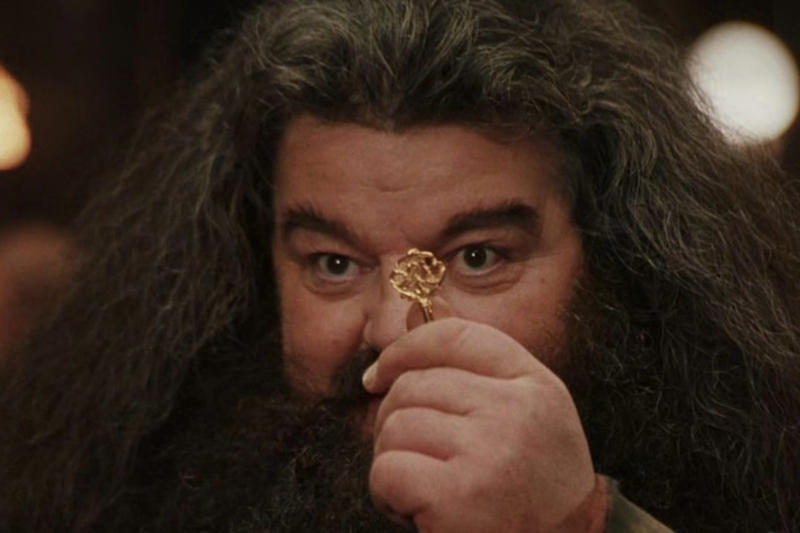 Loyalty can get you far in life A 'Harry Potter' legend, "I will not be here, sadly, but Hagrid will.", Hagrid will live forever, Appearances can be deceptive, Every creature deserves compassion and kindness, There’s power in being yourself, There's no shame in where you come from, There's no use in worrying, Family doesn't have to be blood-related, Your elders hold wisdom, Loyalty can get you far in life, Good people get into trouble too, Teaching goes beyond qualifications, Everyone can teach you something, Friendship means being there in the most difficult times, It's important to take care of the people you love