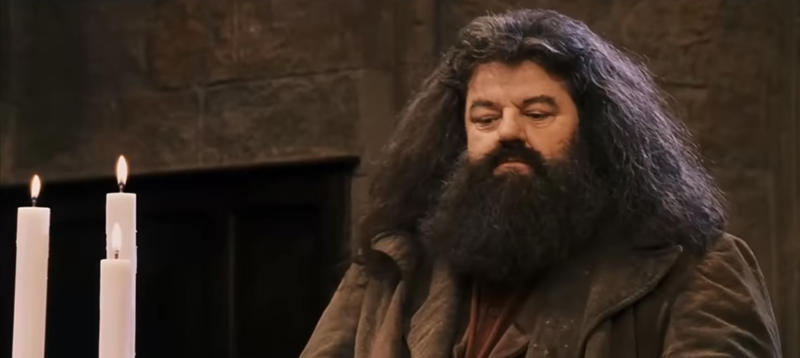 There's no use in worrying A 'Harry Potter' legend, "I will not be here, sadly, but Hagrid will.", Hagrid will live forever, Appearances can be deceptive, Every creature deserves compassion and kindness, There’s power in being yourself, There's no shame in where you come from, There's no use in worrying, Family doesn't have to be blood-related, Your elders hold wisdom, Loyalty can get you far in life, Good people get into trouble too, Teaching goes beyond qualifications, Everyone can teach you something, Friendship means being there in the most difficult times, It's important to take care of the people you love