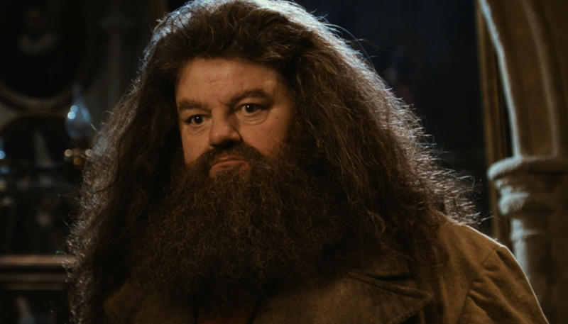 Good people get into trouble too A 'Harry Potter' legend, "I will not be here, sadly, but Hagrid will.", Hagrid will live forever, Appearances can be deceptive, Every creature deserves compassion and kindness, There’s power in being yourself, There's no shame in where you come from, There's no use in worrying, Family doesn't have to be blood-related, Your elders hold wisdom, Loyalty can get you far in life, Good people get into trouble too, Teaching goes beyond qualifications, Everyone can teach you something, Friendship means being there in the most difficult times, It's important to take care of the people you love