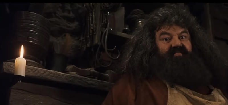 Hagrid will live forever A 'Harry Potter' legend, "I will not be here, sadly, but Hagrid will.", Hagrid will live forever, Appearances can be deceptive, Every creature deserves compassion and kindness, There’s power in being yourself, There's no shame in where you come from, There's no use in worrying, Family doesn't have to be blood-related, Your elders hold wisdom, Loyalty can get you far in life, Good people get into trouble too, Teaching goes beyond qualifications, Everyone can teach you something, Friendship means being there in the most difficult times, It's important to take care of the people you love
