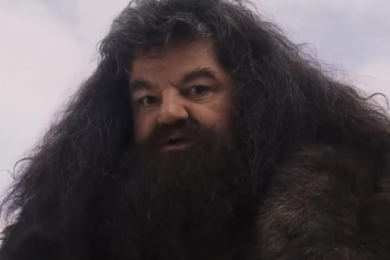 Everyone can teach you something A 'Harry Potter' legend, "I will not be here, sadly, but Hagrid will.", Hagrid will live forever, Appearances can be deceptive, Every creature deserves compassion and kindness, There’s power in being yourself, There's no shame in where you come from, There's no use in worrying, Family doesn't have to be blood-related, Your elders hold wisdom, Loyalty can get you far in life, Good people get into trouble too, Teaching goes beyond qualifications, Everyone can teach you something, Friendship means being there in the most difficult times, It's important to take care of the people you love