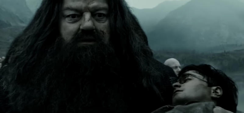Friendship means being there in the most difficult times A 'Harry Potter' legend, "I will not be here, sadly, but Hagrid will.", Hagrid will live forever, Appearances can be deceptive, Every creature deserves compassion and kindness, There’s power in being yourself, There's no shame in where you come from, There's no use in worrying, Family doesn't have to be blood-related, Your elders hold wisdom, Loyalty can get you far in life, Good people get into trouble too, Teaching goes beyond qualifications, Everyone can teach you something, Friendship means being there in the most difficult times, It's important to take care of the people you love