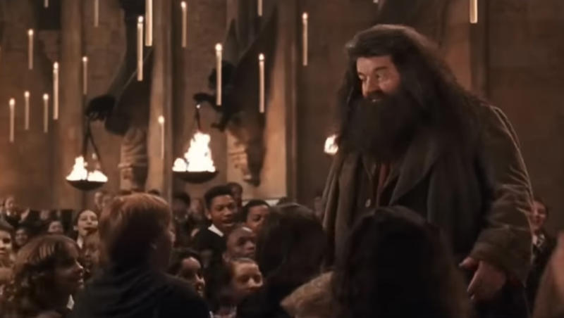 Teaching goes beyond qualifications A 'Harry Potter' legend, "I will not be here, sadly, but Hagrid will.", Hagrid will live forever, Appearances can be deceptive, Every creature deserves compassion and kindness, There’s power in being yourself, There's no shame in where you come from, There's no use in worrying, Family doesn't have to be blood-related, Your elders hold wisdom, Loyalty can get you far in life, Good people get into trouble too, Teaching goes beyond qualifications, Everyone can teach you something, Friendship means being there in the most difficult times, It's important to take care of the people you love