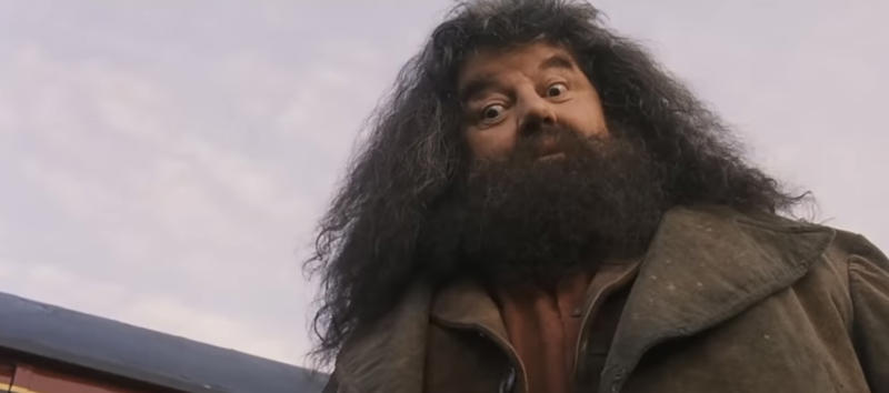 Appearances can be deceptive A 'Harry Potter' legend, "I will not be here, sadly, but Hagrid will.", Hagrid will live forever, Appearances can be deceptive, Every creature deserves compassion and kindness, There’s power in being yourself, There's no shame in where you come from, There's no use in worrying, Family doesn't have to be blood-related, Your elders hold wisdom, Loyalty can get you far in life, Good people get into trouble too, Teaching goes beyond qualifications, Everyone can teach you something, Friendship means being there in the most difficult times, It's important to take care of the people you love