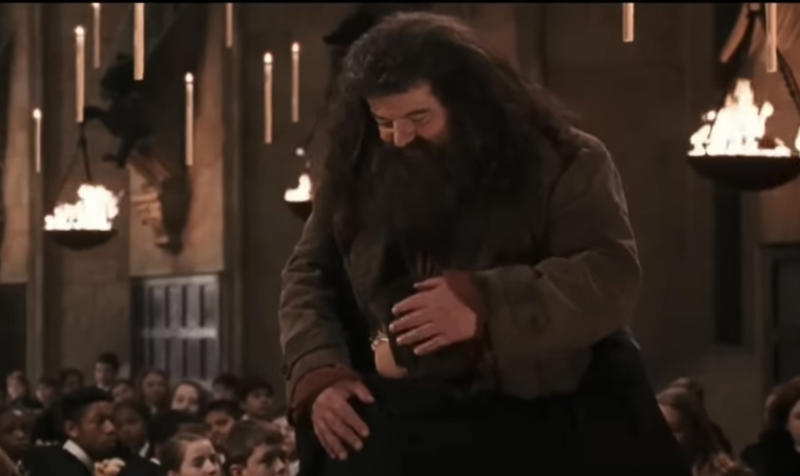 It's important to take care of the people you love A 'Harry Potter' legend, "I will not be here, sadly, but Hagrid will.", Hagrid will live forever, Appearances can be deceptive, Every creature deserves compassion and kindness, There’s power in being yourself, There's no shame in where you come from, There's no use in worrying, Family doesn't have to be blood-related, Your elders hold wisdom, Loyalty can get you far in life, Good people get into trouble too, Teaching goes beyond qualifications, Everyone can teach you something, Friendship means being there in the most difficult times, It's important to take care of the people you love
