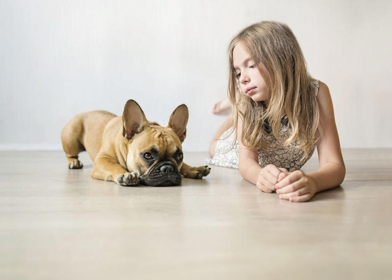 1) Labrador Retriever, 2) Cocker Spaniel, 3) Jack Russell Terrier, 4) Doberman Pinscher, 5) Dachshund, 6) Shiba Inu, 7) Bulldog, 8) Golden Retriever, 9) German Shepherds, 10) Beagle, 12) Irish Setter, 13) Brussels Griffon, 14) Newfoundland, 15) French Bulldog, 16) Collie, 17) Australian Shepherd, 18) Chesapeake Bay Retriever, 19) Great Pyrenees, 20) Saint Bernard
