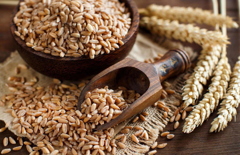 Protein-rich foods that aren’t meat, How much protein do we need?, Black beans, Chia seeds, Chickpeas, Cottage cheese, Ezekiel bread, Goji berries, Greek yogurt, Mozzarella, Oat bran, Pea protein, Pistachios, Plant-based meat substitutes, Protein bars, Soba noodles, Whey protein