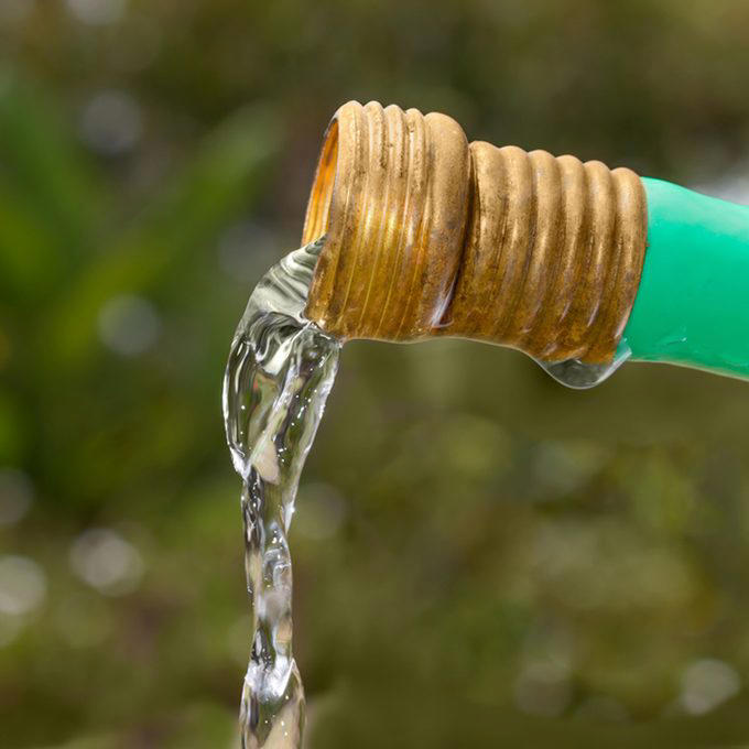 You Need to Water Every Day, Cutting Grass Shorter Means Less Mowing, Grass Clippings Lead to That Buildup, You Should Fertilize in the Spring, Watering in the Evening is Best, Leaves Smother Lawns, Tonics Will Help My Lawn to Grow, Wear Aerator Shoes While Mowing, A Garden Hose is More Cost Effective Than a Sprinkler System, Chewing Gum Solves a Mole Problem