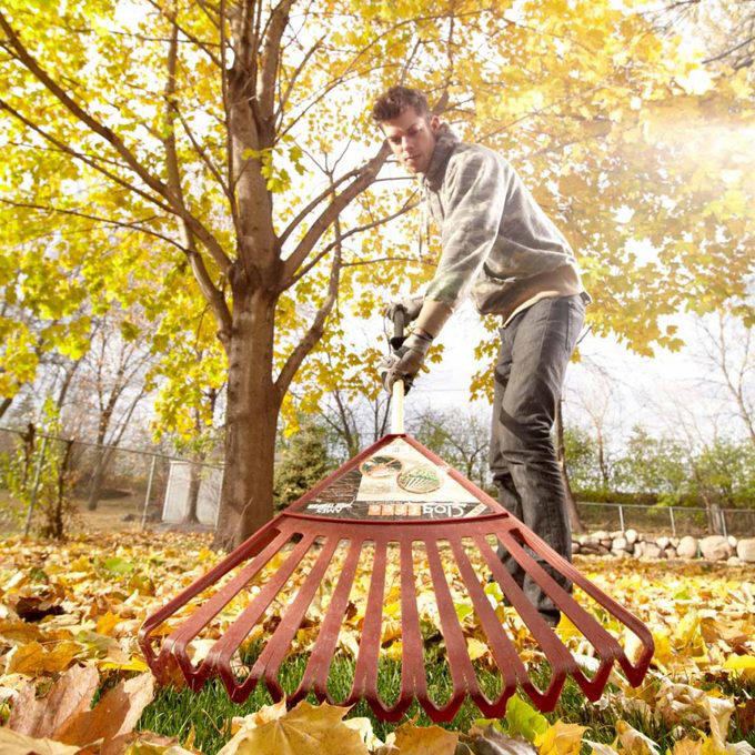 You Need to Water Every Day, Cutting Grass Shorter Means Less Mowing, Grass Clippings Lead to That Buildup, You Should Fertilize in the Spring, Watering in the Evening is Best, Leaves Smother Lawns, Tonics Will Help My Lawn to Grow, Wear Aerator Shoes While Mowing, A Garden Hose is More Cost Effective Than a Sprinkler System, Chewing Gum Solves a Mole Problem