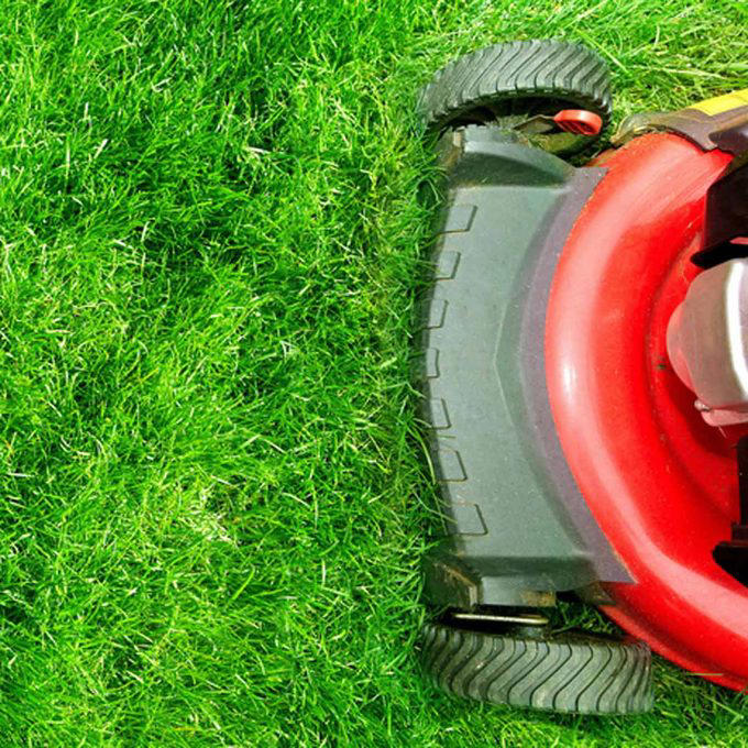 You Need to Water Every Day, Cutting Grass Shorter Means Less Mowing, Grass Clippings Lead to That Buildup, You Should Fertilize in the Spring, Watering in the Evening is Best, Leaves Smother Lawns, Tonics Will Help My Lawn to Grow, Wear Aerator Shoes While Mowing, A Garden Hose is More Cost Effective Than a Sprinkler System, Chewing Gum Solves a Mole Problem