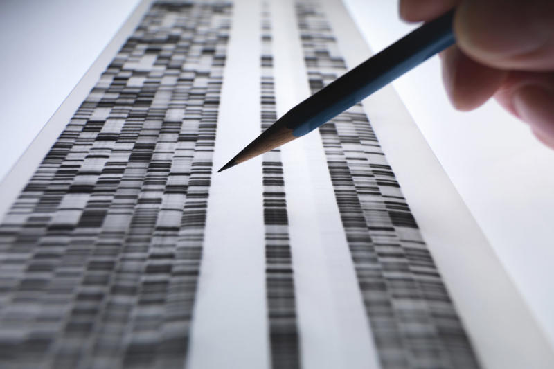 The Synthetic Human Genome Project, Controversial, Ethical concerns, UK-based research and funding, The benefits outweighed the risks, Human Genome Project, Reading, but not writing, Developing the methods, Genetic therapies, Curing almost any disease