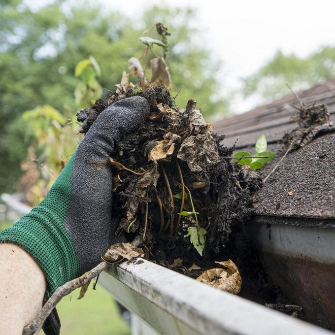 Wood Siding, Electrical Panels and Meters, Asphalt Shingles, Air Conditioners, Lead Paint, Old Mortar, Living Things, Painted Surfaces That You Want to Stay Painted, Vehicles, Outdoor Light Fixtures, Stained Wood