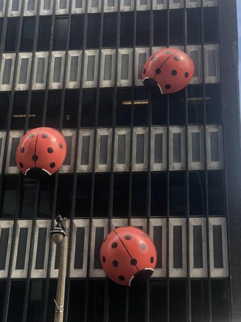 People Are Sharing The Quirkiest Attractions They Came Across In The US And These Are 87 Of Them #3 Outside The Dr. Seuss Museum, Springfield, Massachusetts, #7 Underground Kayaking In Red River Gorge, Ky, #11 Ladybirds On The Side Of An Office Building In Milwaukee Wi, #13 Just Went This Awesome House In York, PA, #19 The Great Elephant Migration Traveling Exhibit In Newport, Rhode Island, #23 Jerome, Missouri On Rt. 66. Found This As We Were Out Driving Around, #25 A Giant Pencil On An Office Supply Store In Wytheville, VA
