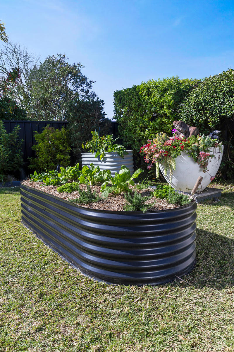 How to build a wicking bed, How to make a wicking garden bed, How does wicking work?, Advantages of a wicking bed, What are the disadvantages of wicking beds?, What do you fill a wicking bed with?, How deep do wicking beds need to be?, What is the best soil for wicking beds in Australia?, Shop raised garden beds
