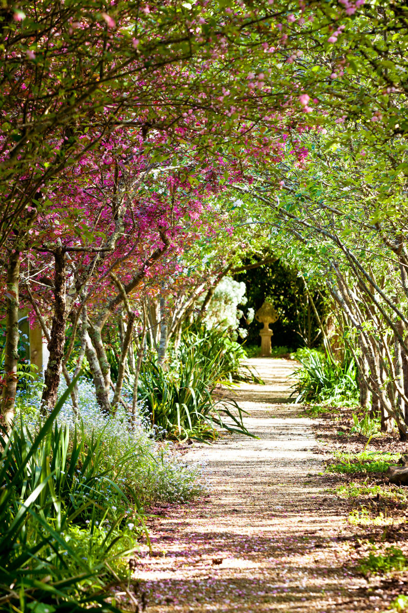      Collette Dinnigan’s enchanting gardens   ,      The manicured gardens of Lancemore Lindenderry   ,      A family-friendly garden that fits its home perfectly   ,      A Sydney family gives their heritage home the garden it deserves   ,      A flowering perennial garden in NSW   ,      Mayfield Garden in Oberon is an expansive, formal masterpiece   ,      A tropical garden in the heart of Melbourne   ,      A layered green-on-green palette has transformed this garden into a shaded sanctuary   ,      Romantic country garden transports visitors to another world   ,      A traditional front garden with a contemporary twist   ,      A country-style garden in suburban Melbourne   ,      A garden of contrasts that works harmoniously   ,      A naturalistic inner-city garden inspired by the Australian bush   ,      Ripe for the picking: a productive urban garden   ,      A small tropical garden with low-maintenance plants   ,      A family-friendly heritage home with a Mediterranean influence   ,      A semi-formal garden restoration reflecting a historic home   ,      Sophisticated family backyard revamp in Melbourne   ,      A former Macadamia farm provides a lush escape   ,      An inner-city terrace garden   ,      A private European-style courtyard garden   ,      A show-stopping sustainable garden   ,      A coastal home’s luscious front garden design   ,      A lush and layered Launceston garden   ,      A 19th century garden pays homage to its heritage   ,      A bushland retreat 30 minutes out of Melbourne’s CBD   ,      A formal cottage garden filled with earthly delights   ,      A rambling rural retreat in central Victoria   ,      A manicured garden on Victoria’s Mornington Peninsula   ,      An exceptional 19th century garden at Bronte House   ,      An English-meets-Australian garden in northern NSW   ,      South Australian garden bristles with life   ,      A grand garden reinvented for the 21st century   