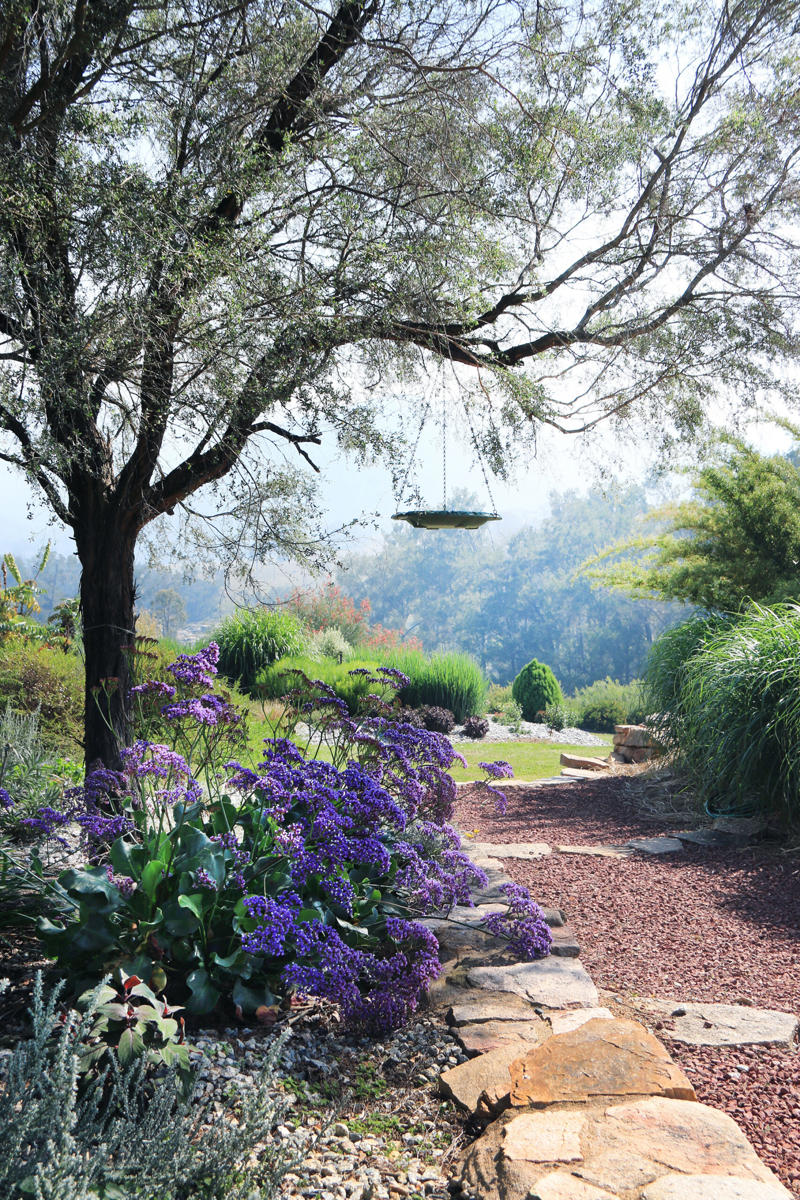      Collette Dinnigan’s enchanting gardens   ,      The manicured gardens of Lancemore Lindenderry   ,      A family-friendly garden that fits its home perfectly   ,      A Sydney family gives their heritage home the garden it deserves   ,      A flowering perennial garden in NSW   ,      Mayfield Garden in Oberon is an expansive, formal masterpiece   ,      A tropical garden in the heart of Melbourne   ,      A layered green-on-green palette has transformed this garden into a shaded sanctuary   ,      Romantic country garden transports visitors to another world   ,      A traditional front garden with a contemporary twist   ,      A country-style garden in suburban Melbourne   ,      A garden of contrasts that works harmoniously   ,      A naturalistic inner-city garden inspired by the Australian bush   ,      Ripe for the picking: a productive urban garden   ,      A small tropical garden with low-maintenance plants   ,      A family-friendly heritage home with a Mediterranean influence   ,      A semi-formal garden restoration reflecting a historic home   ,      Sophisticated family backyard revamp in Melbourne   ,      A former Macadamia farm provides a lush escape   ,      An inner-city terrace garden   ,      A private European-style courtyard garden   ,      A show-stopping sustainable garden   ,      A coastal home’s luscious front garden design   ,      A lush and layered Launceston garden   ,      A 19th century garden pays homage to its heritage   ,      A bushland retreat 30 minutes out of Melbourne’s CBD   ,      A formal cottage garden filled with earthly delights   ,      A rambling rural retreat in central Victoria   ,      A manicured garden on Victoria’s Mornington Peninsula   ,      An exceptional 19th century garden at Bronte House   ,      An English-meets-Australian garden in northern NSW   ,      South Australian garden bristles with life   ,      A grand garden reinvented for the 21st century   
