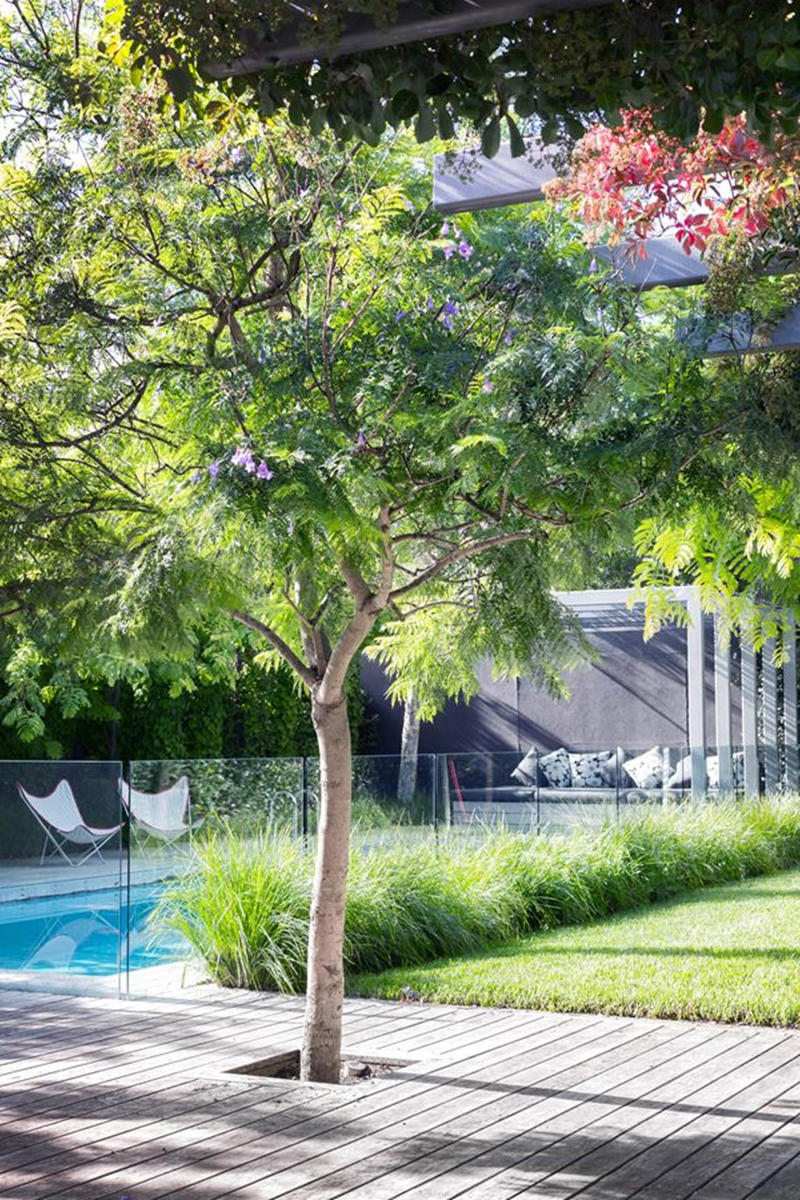      Collette Dinnigan’s enchanting gardens   ,      The manicured gardens of Lancemore Lindenderry   ,      A family-friendly garden that fits its home perfectly   ,      A Sydney family gives their heritage home the garden it deserves   ,      A flowering perennial garden in NSW   ,      Mayfield Garden in Oberon is an expansive, formal masterpiece   ,      A tropical garden in the heart of Melbourne   ,      A layered green-on-green palette has transformed this garden into a shaded sanctuary   ,      Romantic country garden transports visitors to another world   ,      A traditional front garden with a contemporary twist   ,      A country-style garden in suburban Melbourne   ,      A garden of contrasts that works harmoniously   ,      A naturalistic inner-city garden inspired by the Australian bush   ,      Ripe for the picking: a productive urban garden   ,      A small tropical garden with low-maintenance plants   ,      A family-friendly heritage home with a Mediterranean influence   ,      A semi-formal garden restoration reflecting a historic home   ,      Sophisticated family backyard revamp in Melbourne   ,      A former Macadamia farm provides a lush escape   ,      An inner-city terrace garden   ,      A private European-style courtyard garden   ,      A show-stopping sustainable garden   ,      A coastal home’s luscious front garden design   ,      A lush and layered Launceston garden   ,      A 19th century garden pays homage to its heritage   ,      A bushland retreat 30 minutes out of Melbourne’s CBD   ,      A formal cottage garden filled with earthly delights   ,      A rambling rural retreat in central Victoria   ,      A manicured garden on Victoria’s Mornington Peninsula   ,      An exceptional 19th century garden at Bronte House   ,      An English-meets-Australian garden in northern NSW   ,      South Australian garden bristles with life   ,      A grand garden reinvented for the 21st century   