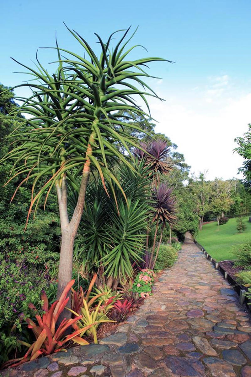      Collette Dinnigan’s enchanting gardens   ,      The manicured gardens of Lancemore Lindenderry   ,      A family-friendly garden that fits its home perfectly   ,      A Sydney family gives their heritage home the garden it deserves   ,      A flowering perennial garden in NSW   ,      Mayfield Garden in Oberon is an expansive, formal masterpiece   ,      A tropical garden in the heart of Melbourne   ,      A layered green-on-green palette has transformed this garden into a shaded sanctuary   ,      Romantic country garden transports visitors to another world   ,      A traditional front garden with a contemporary twist   ,      A country-style garden in suburban Melbourne   ,      A garden of contrasts that works harmoniously   ,      A naturalistic inner-city garden inspired by the Australian bush   ,      Ripe for the picking: a productive urban garden   ,      A small tropical garden with low-maintenance plants   ,      A family-friendly heritage home with a Mediterranean influence   ,      A semi-formal garden restoration reflecting a historic home   ,      Sophisticated family backyard revamp in Melbourne   ,      A former Macadamia farm provides a lush escape   ,      An inner-city terrace garden   ,      A private European-style courtyard garden   ,      A show-stopping sustainable garden   ,      A coastal home’s luscious front garden design   ,      A lush and layered Launceston garden   ,      A 19th century garden pays homage to its heritage   ,      A bushland retreat 30 minutes out of Melbourne’s CBD   ,      A formal cottage garden filled with earthly delights   ,      A rambling rural retreat in central Victoria   ,      A manicured garden on Victoria’s Mornington Peninsula   ,      An exceptional 19th century garden at Bronte House   ,      An English-meets-Australian garden in northern NSW   ,      South Australian garden bristles with life   ,      A grand garden reinvented for the 21st century   