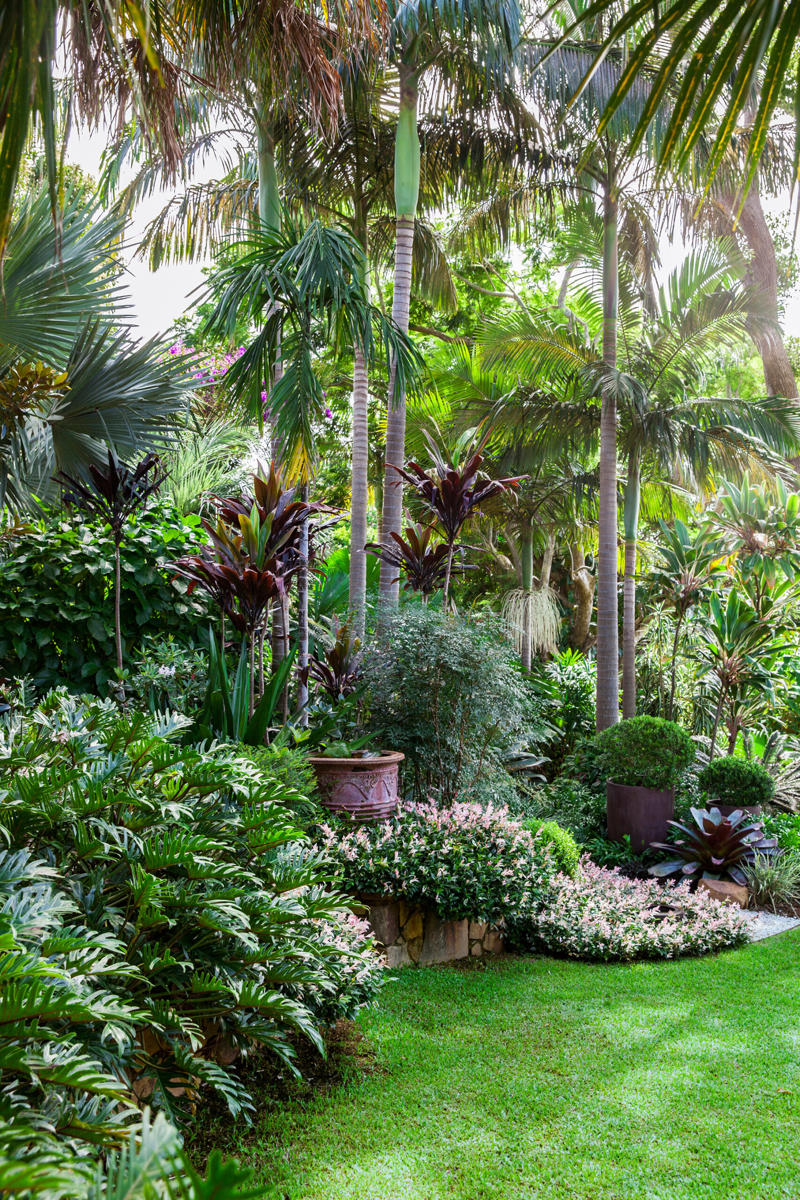      Collette Dinnigan’s enchanting gardens   ,      The manicured gardens of Lancemore Lindenderry   ,      A family-friendly garden that fits its home perfectly   ,      A Sydney family gives their heritage home the garden it deserves   ,      A flowering perennial garden in NSW   ,      Mayfield Garden in Oberon is an expansive, formal masterpiece   ,      A tropical garden in the heart of Melbourne   ,      A layered green-on-green palette has transformed this garden into a shaded sanctuary   ,      Romantic country garden transports visitors to another world   ,      A traditional front garden with a contemporary twist   ,      A country-style garden in suburban Melbourne   ,      A garden of contrasts that works harmoniously   ,      A naturalistic inner-city garden inspired by the Australian bush   ,      Ripe for the picking: a productive urban garden   ,      A small tropical garden with low-maintenance plants   ,      A family-friendly heritage home with a Mediterranean influence   ,      A semi-formal garden restoration reflecting a historic home   ,      Sophisticated family backyard revamp in Melbourne   ,      A former Macadamia farm provides a lush escape   ,      An inner-city terrace garden   ,      A private European-style courtyard garden   ,      A show-stopping sustainable garden   ,      A coastal home’s luscious front garden design   ,      A lush and layered Launceston garden   ,      A 19th century garden pays homage to its heritage   ,      A bushland retreat 30 minutes out of Melbourne’s CBD   ,      A formal cottage garden filled with earthly delights   ,      A rambling rural retreat in central Victoria   ,      A manicured garden on Victoria’s Mornington Peninsula   ,      An exceptional 19th century garden at Bronte House   ,      An English-meets-Australian garden in northern NSW   ,      South Australian garden bristles with life   ,      A grand garden reinvented for the 21st century   
