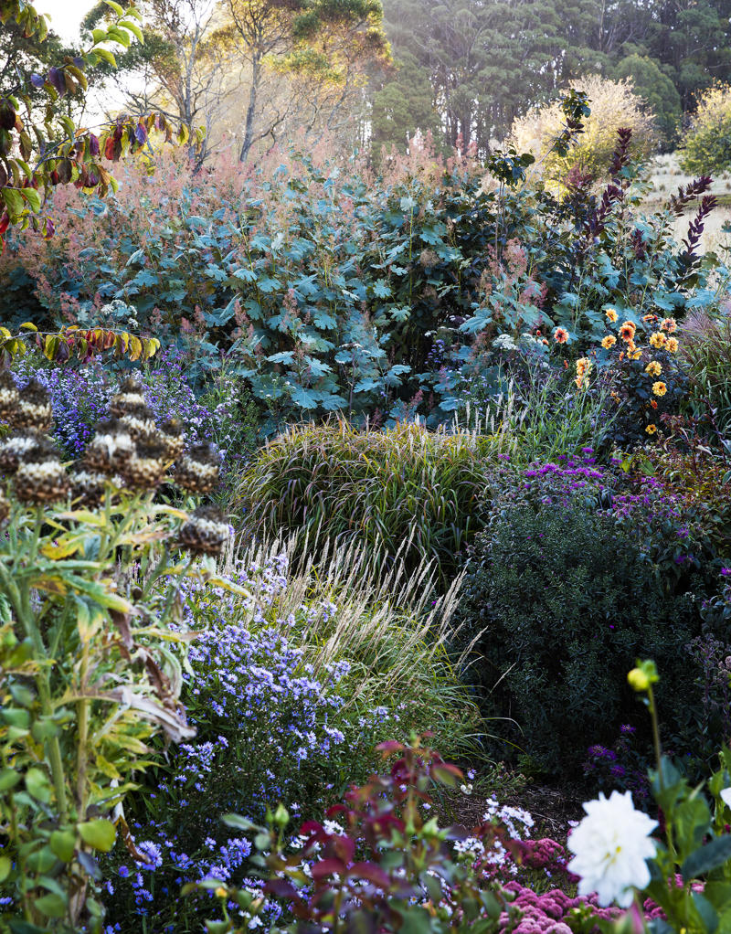      Collette Dinnigan’s enchanting gardens   ,      The manicured gardens of Lancemore Lindenderry   ,      A family-friendly garden that fits its home perfectly   ,      A Sydney family gives their heritage home the garden it deserves   ,      A flowering perennial garden in NSW   ,      Mayfield Garden in Oberon is an expansive, formal masterpiece   ,      A tropical garden in the heart of Melbourne   ,      A layered green-on-green palette has transformed this garden into a shaded sanctuary   ,      Romantic country garden transports visitors to another world   ,      A traditional front garden with a contemporary twist   ,      A country-style garden in suburban Melbourne   ,      A garden of contrasts that works harmoniously   ,      A naturalistic inner-city garden inspired by the Australian bush   ,      Ripe for the picking: a productive urban garden   ,      A small tropical garden with low-maintenance plants   ,      A family-friendly heritage home with a Mediterranean influence   ,      A semi-formal garden restoration reflecting a historic home   ,      Sophisticated family backyard revamp in Melbourne   ,      A former Macadamia farm provides a lush escape   ,      An inner-city terrace garden   ,      A private European-style courtyard garden   ,      A show-stopping sustainable garden   ,      A coastal home’s luscious front garden design   ,      A lush and layered Launceston garden   ,      A 19th century garden pays homage to its heritage   ,      A bushland retreat 30 minutes out of Melbourne’s CBD   ,      A formal cottage garden filled with earthly delights   ,      A rambling rural retreat in central Victoria   ,      A manicured garden on Victoria’s Mornington Peninsula   ,      An exceptional 19th century garden at Bronte House   ,      An English-meets-Australian garden in northern NSW   ,      South Australian garden bristles with life   ,      A grand garden reinvented for the 21st century   
