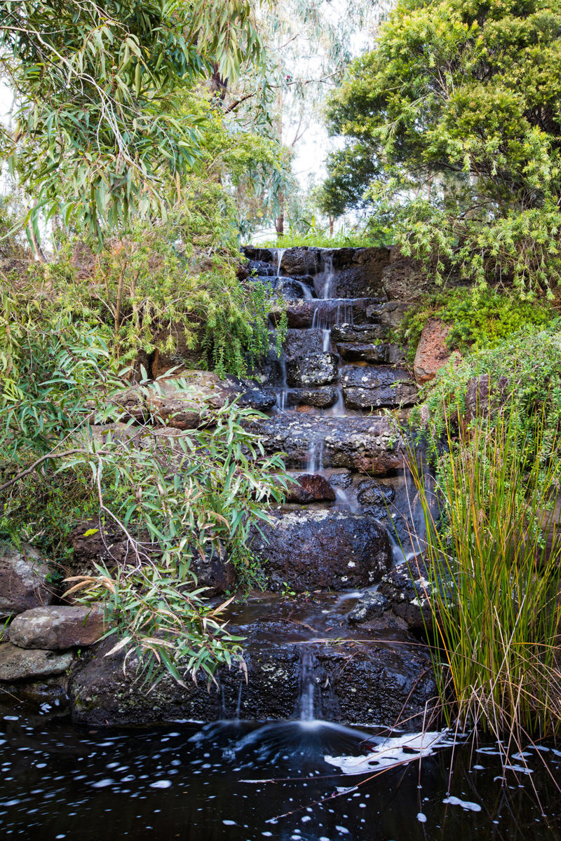     Collette Dinnigan’s enchanting gardens   ,      The manicured gardens of Lancemore Lindenderry   ,      A family-friendly garden that fits its home perfectly   ,      A Sydney family gives their heritage home the garden it deserves   ,      A flowering perennial garden in NSW   ,      Mayfield Garden in Oberon is an expansive, formal masterpiece   ,      A tropical garden in the heart of Melbourne   ,      A layered green-on-green palette has transformed this garden into a shaded sanctuary   ,      Romantic country garden transports visitors to another world   ,      A traditional front garden with a contemporary twist   ,      A country-style garden in suburban Melbourne   ,      A garden of contrasts that works harmoniously   ,      A naturalistic inner-city garden inspired by the Australian bush   ,      Ripe for the picking: a productive urban garden   ,      A small tropical garden with low-maintenance plants   ,      A family-friendly heritage home with a Mediterranean influence   ,      A semi-formal garden restoration reflecting a historic home   ,      Sophisticated family backyard revamp in Melbourne   ,      A former Macadamia farm provides a lush escape   ,      An inner-city terrace garden   ,      A private European-style courtyard garden   ,      A show-stopping sustainable garden   ,      A coastal home’s luscious front garden design   ,      A lush and layered Launceston garden   ,      A 19th century garden pays homage to its heritage   ,      A bushland retreat 30 minutes out of Melbourne’s CBD   ,      A formal cottage garden filled with earthly delights   ,      A rambling rural retreat in central Victoria   ,      A manicured garden on Victoria’s Mornington Peninsula   ,      An exceptional 19th century garden at Bronte House   ,      An English-meets-Australian garden in northern NSW   ,      South Australian garden bristles with life   ,      A grand garden reinvented for the 21st century   